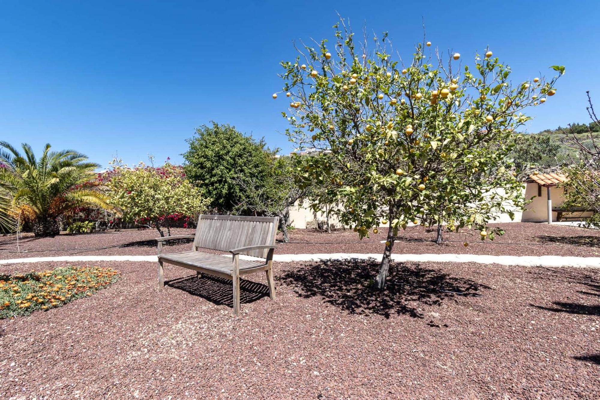 Casa Las Palmeras Granadilla De Abona Bagian luar foto